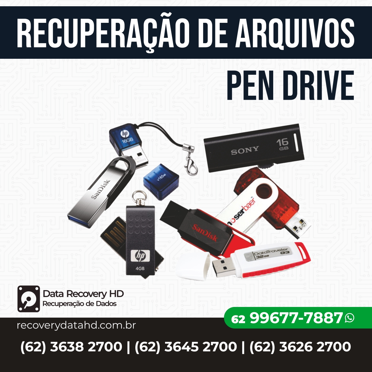 RECOVERY DATA HD GOIANIA-RECUPERAÇÃO DE ARQUIVOS PEN DRIVE GOIAS