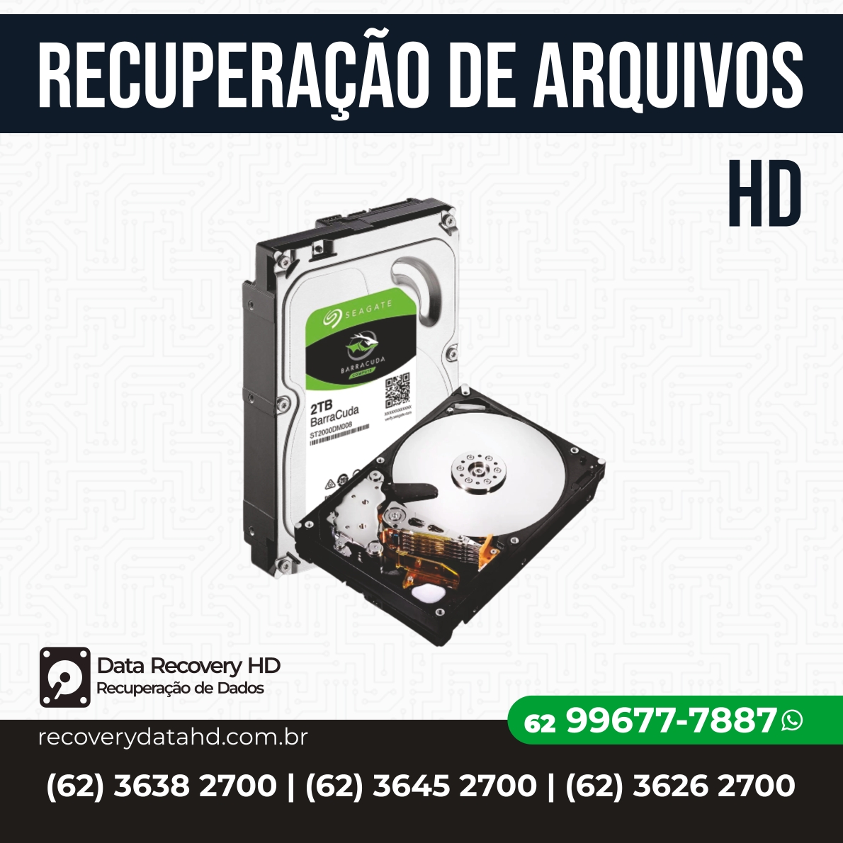 RECOVERY DATA HD GOIANIA-RECUPERAÇÃO DE DADOS EM HDS GOIANIA