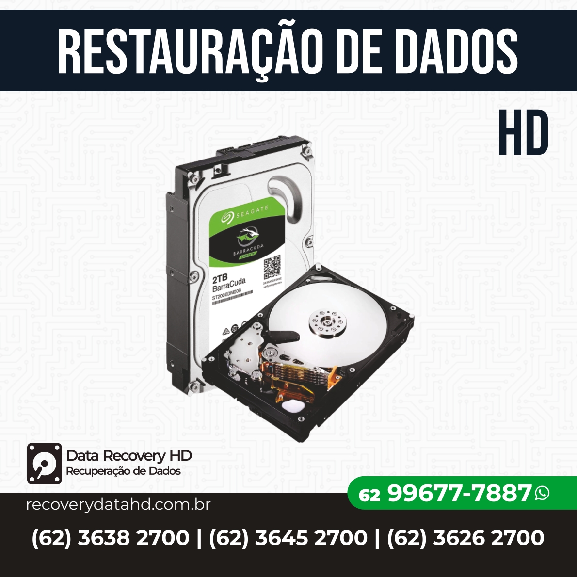 RECOVERY DATA HD GOIANIA-RESTAURAÇÃO DE ARQUIVOS HD GOIANIA