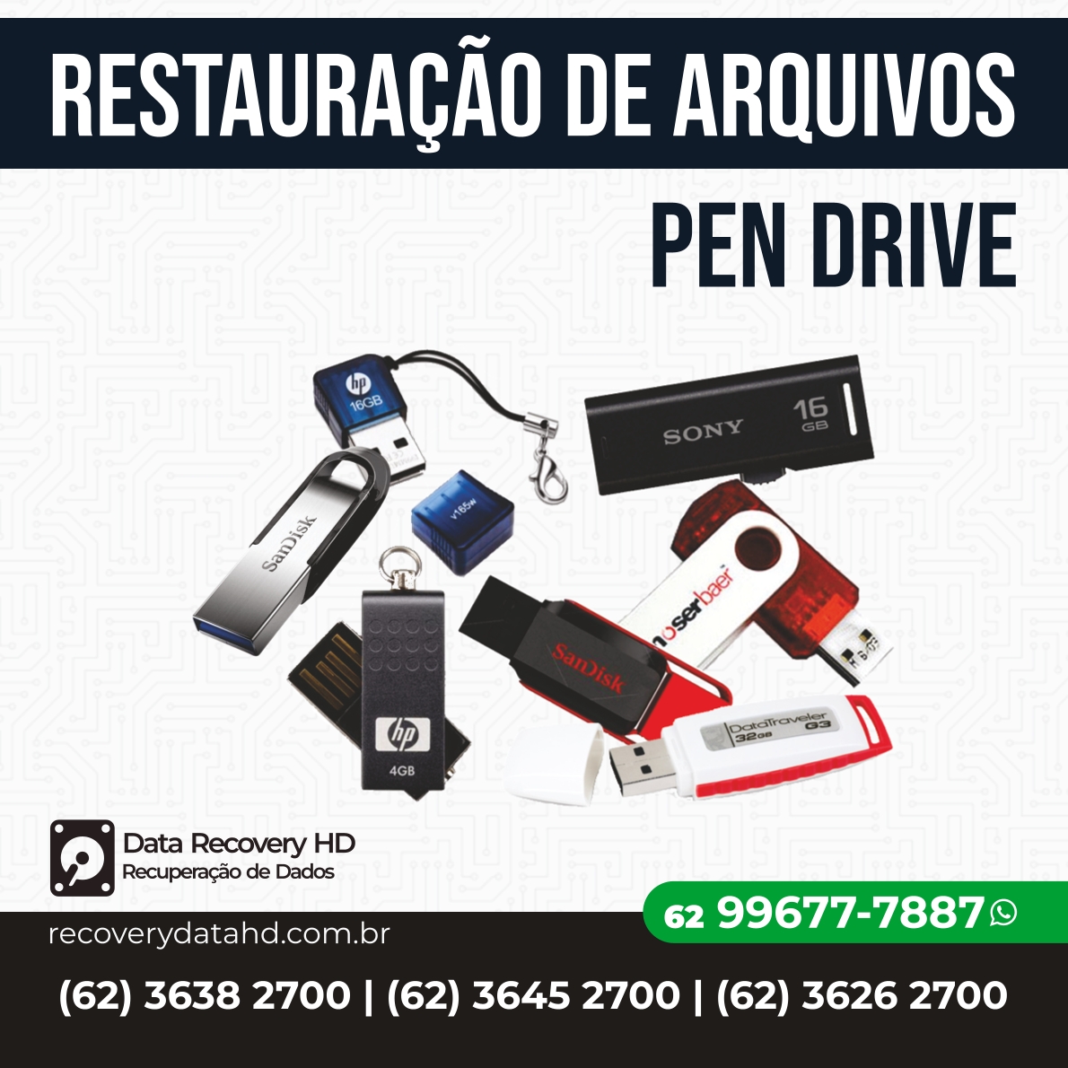 RECOVERY DATA HD GOIANIA-RESTAURAÇÃO DE ARQUIVOS PEN DRIVE GOIANIA