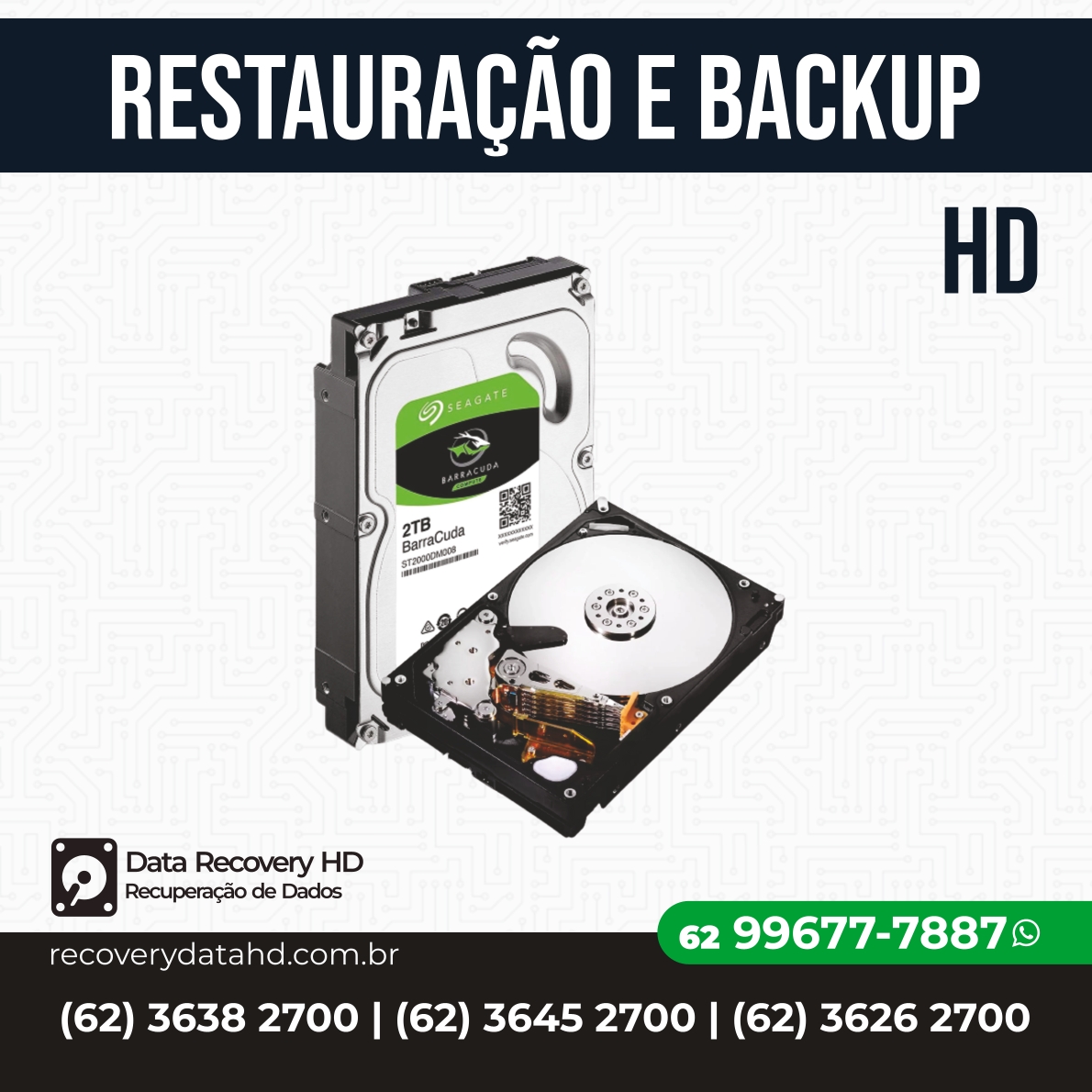 RECOVERY DATA HD GOIANIA-RESTAURAÇÃO E BACKUP HD GOIAS