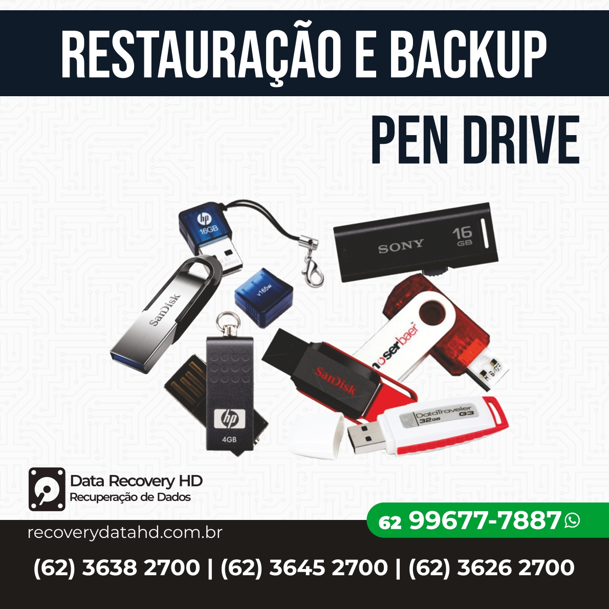 RECOVERY DATA HD GOIANIA-RESTAURAÇÃO E BACKUP PEN DRIVE GOIAS